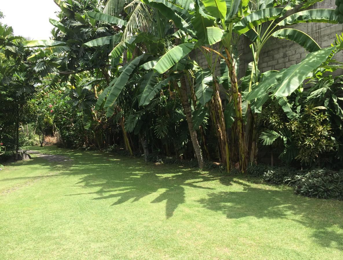 Hotel Raja Gardens 2*